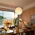 Akari A Pendant Light