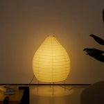 Akari 23N Floor Lamp