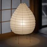 Akari 23N Floor Lamp