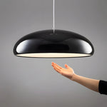 Pangen Suspension Pendant Lamp