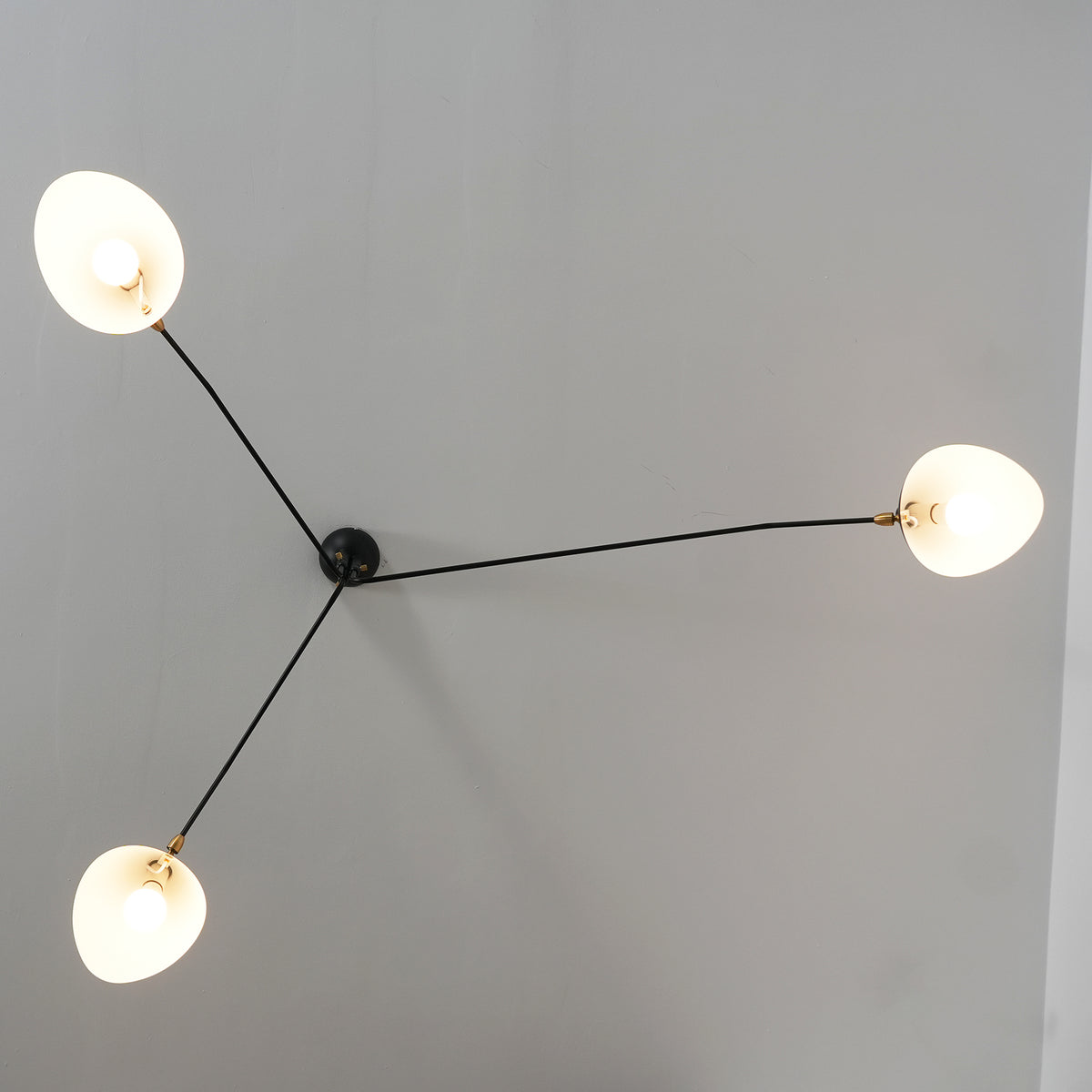 Serge Mouille Ceiling Light