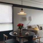 Simple Frisbi Pendant Lamp