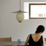 Simplicity Satellite pendant lamp