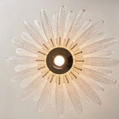 Radiating Ribs That Scatter the Light