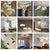 All Pendants Lights