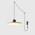 Plug-in Pendant Lights
