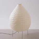 Akari 23N Floor Lamp