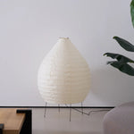 Akari 23N Floor Lamp