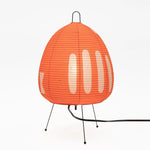 Akari Table Lamp
