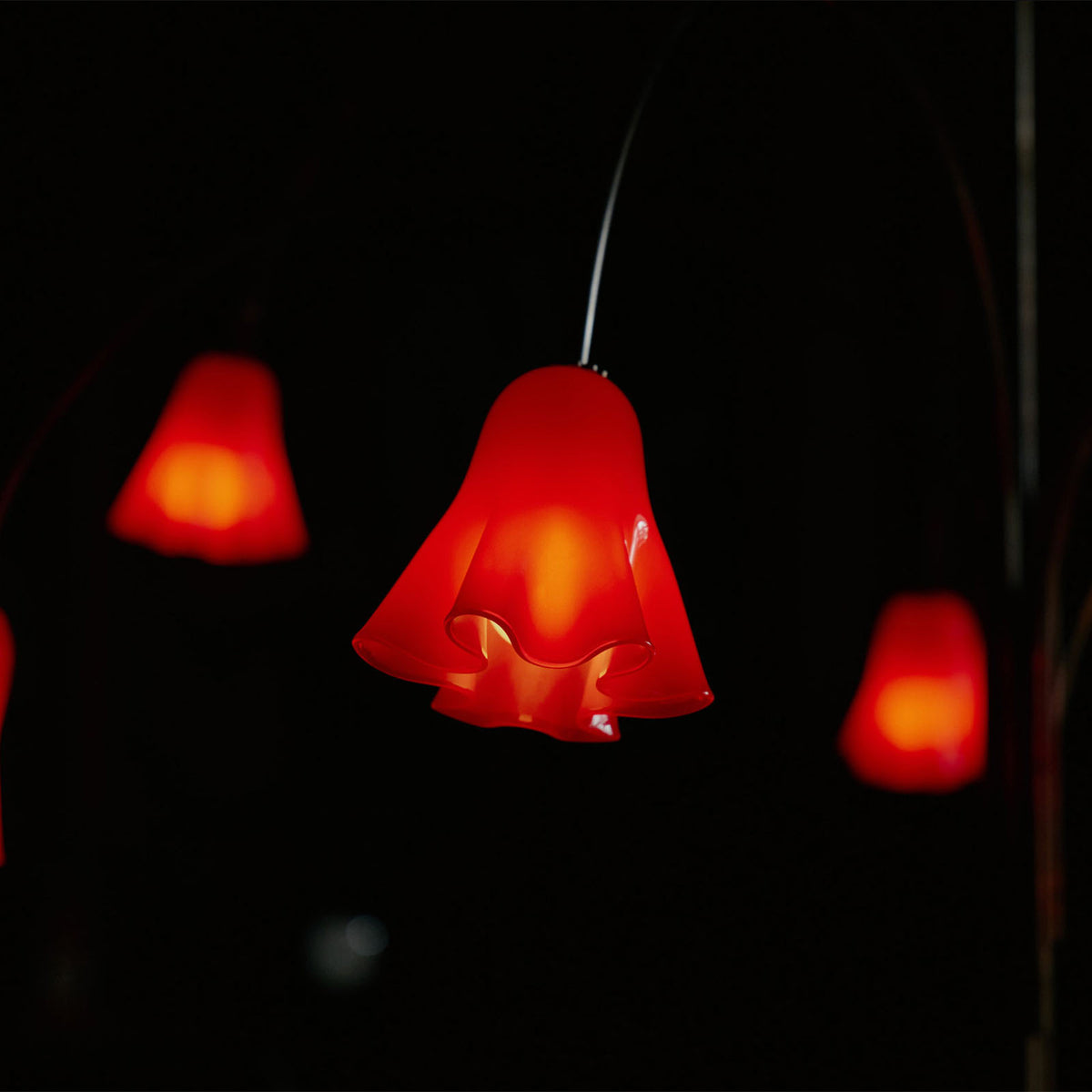 Flora Chandelier