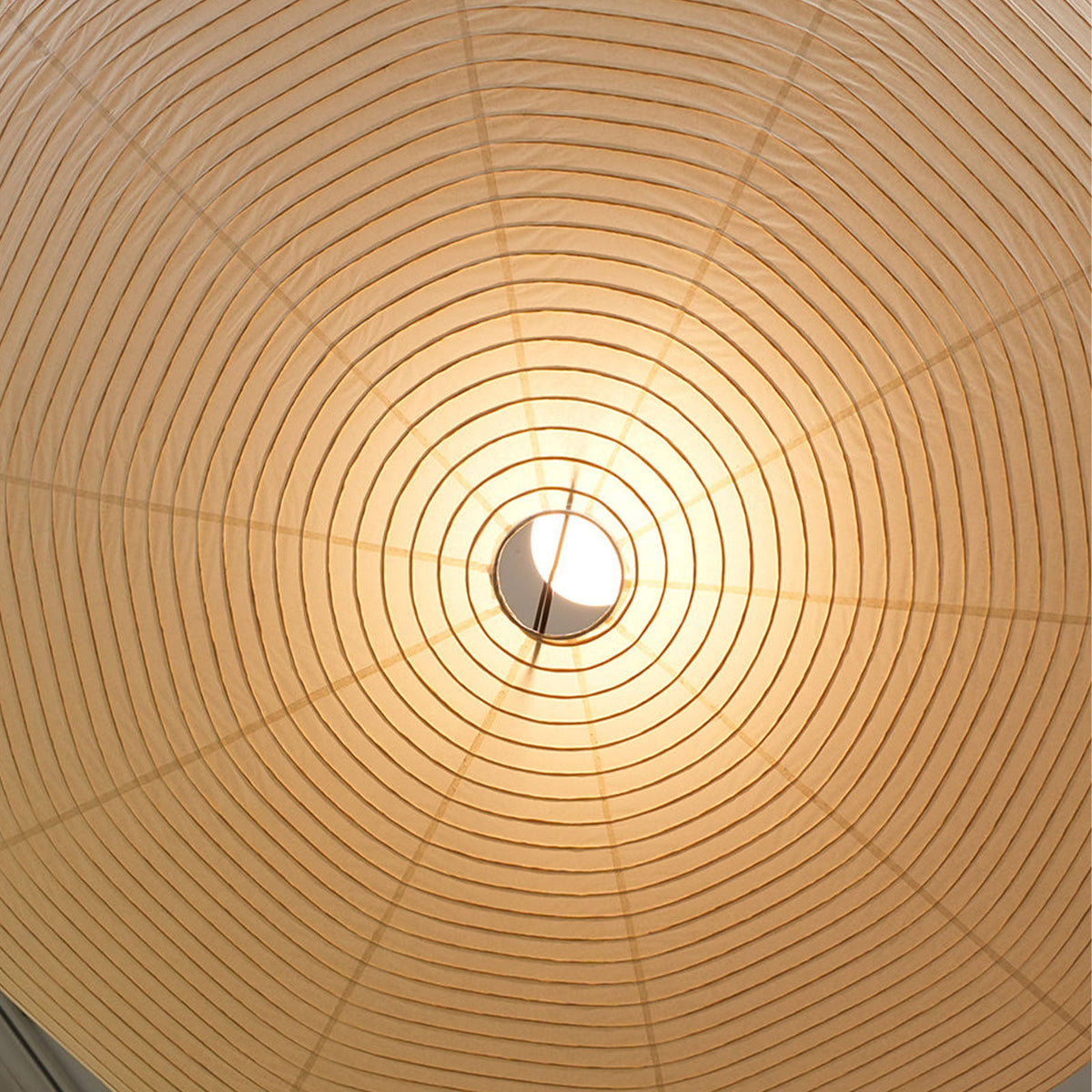 Inside a pleated paper lamp shade, lit from within