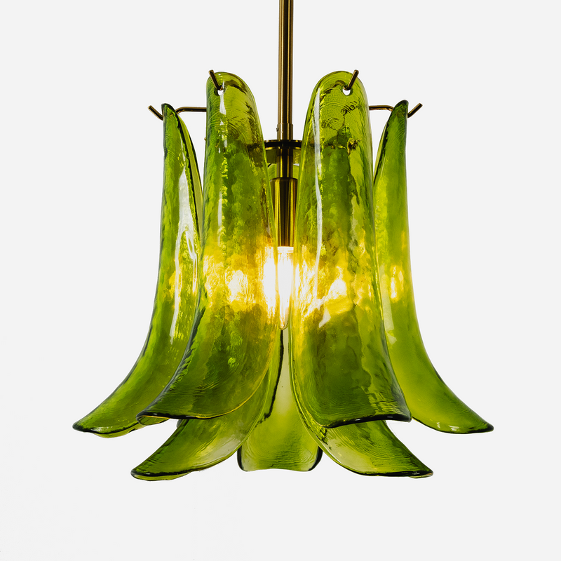 Semoy Curved Glass Petal Pendant Light
