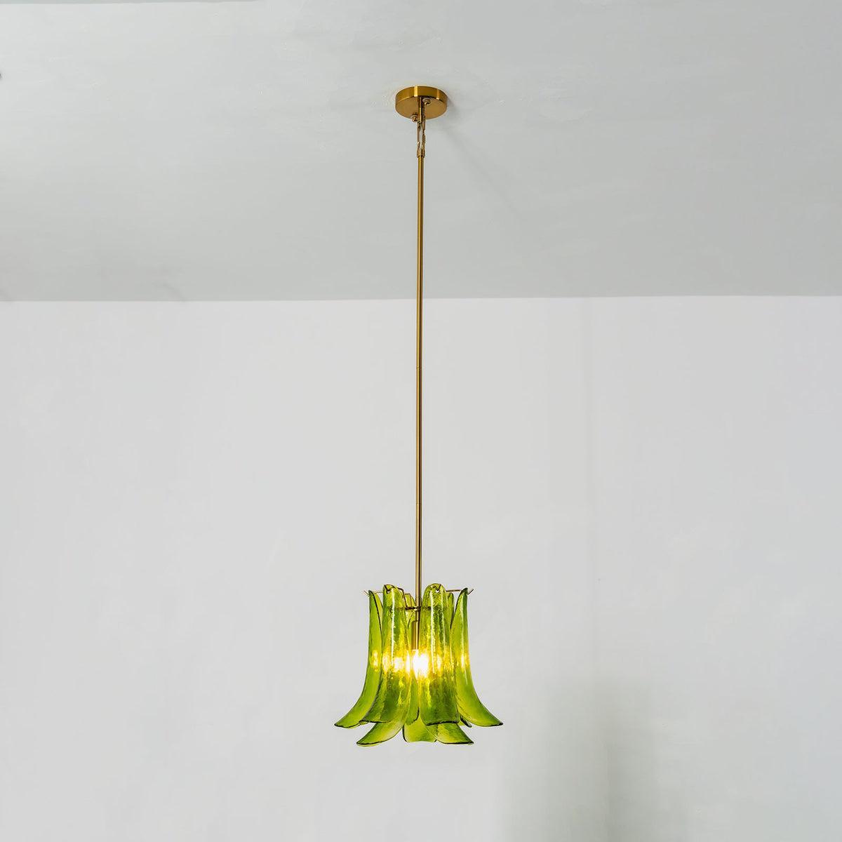 Semoy Curved Glass Petal Pendant Light | Curved Glass and Brass | Studio product view of the green glass petal pendant light on a white backdrop | Severn Lighting