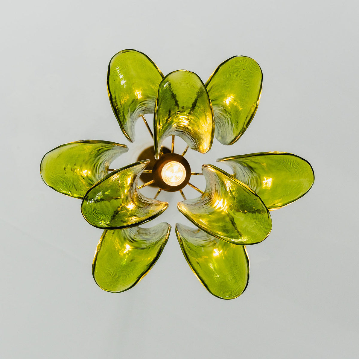 Semoy Curved Glass Petal Pendant Light | Curved Glass and Brass | Direct bottom-up view displaying the flower-shaped glass petal arrangement | Severn Lighting