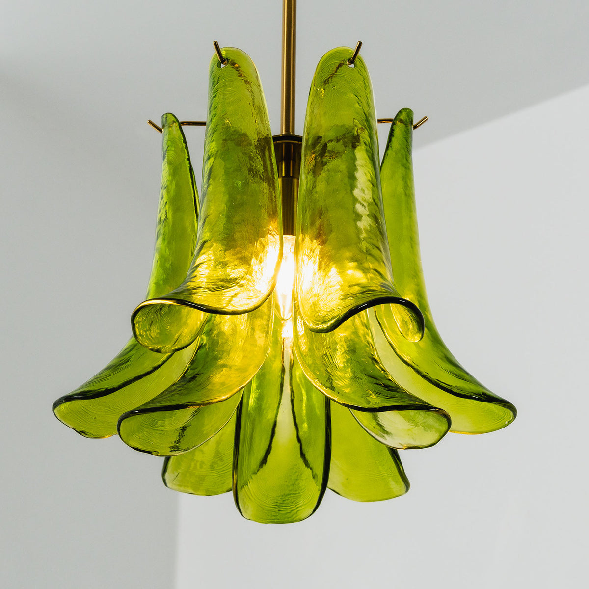 Semoy Curved Glass Petal Pendant Light | Curved Glass and Brass | Full product view of the green glass pendant illuminated on a plain background | Severn Lighting